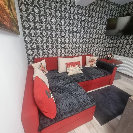 Apartament Kalinderu K2 Buşteni エクステリア 写真