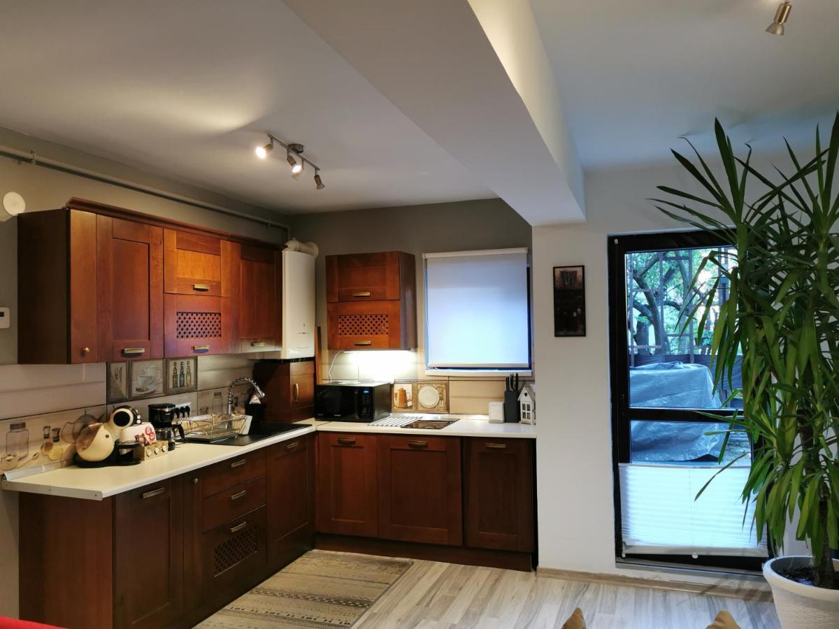 Apartament Kalinderu K2 Buşteni エクステリア 写真