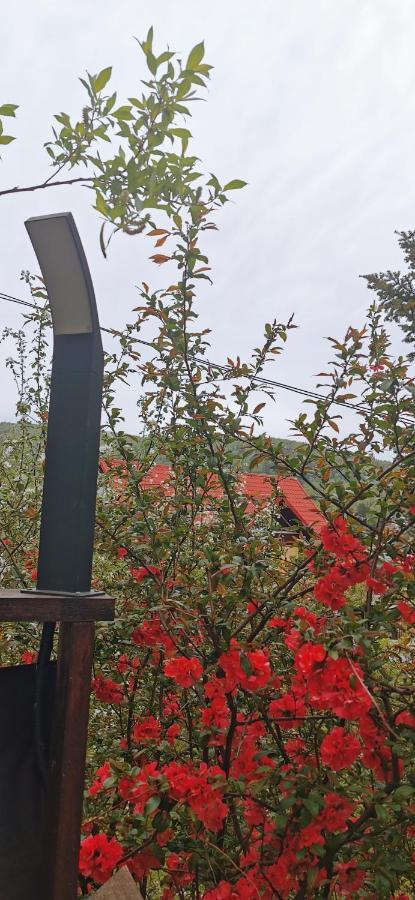 Apartament Kalinderu K2 Buşteni エクステリア 写真