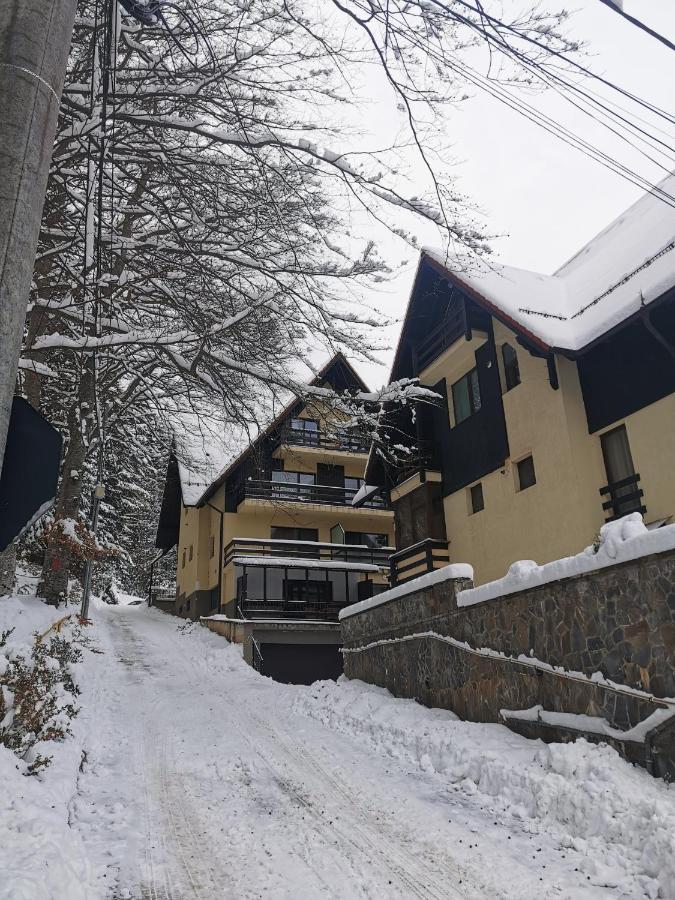 Apartament Kalinderu K2 Buşteni エクステリア 写真
