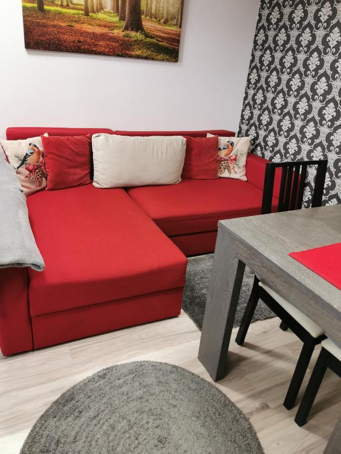Apartament Kalinderu K2 Buşteni エクステリア 写真