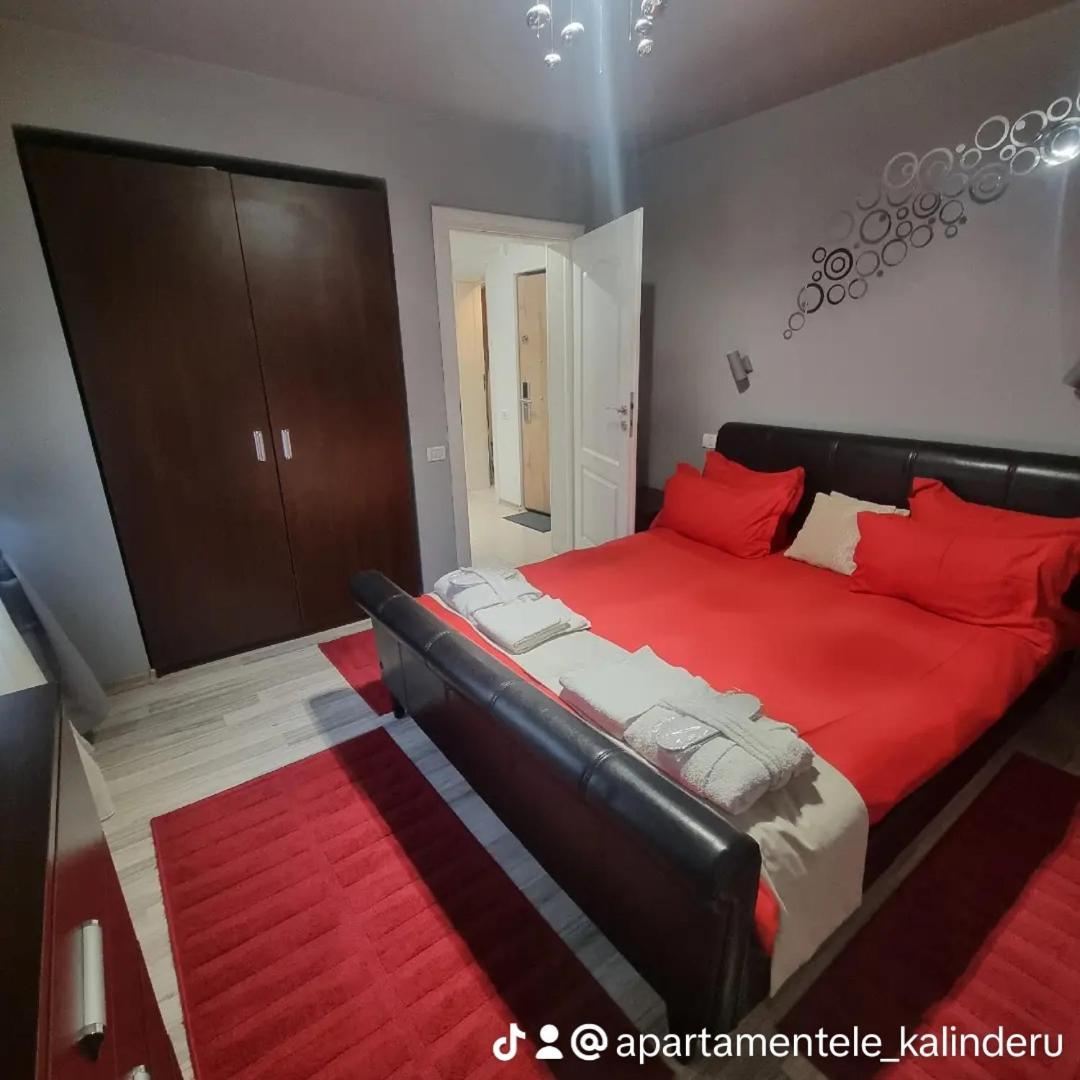 Apartament Kalinderu K2 Buşteni エクステリア 写真