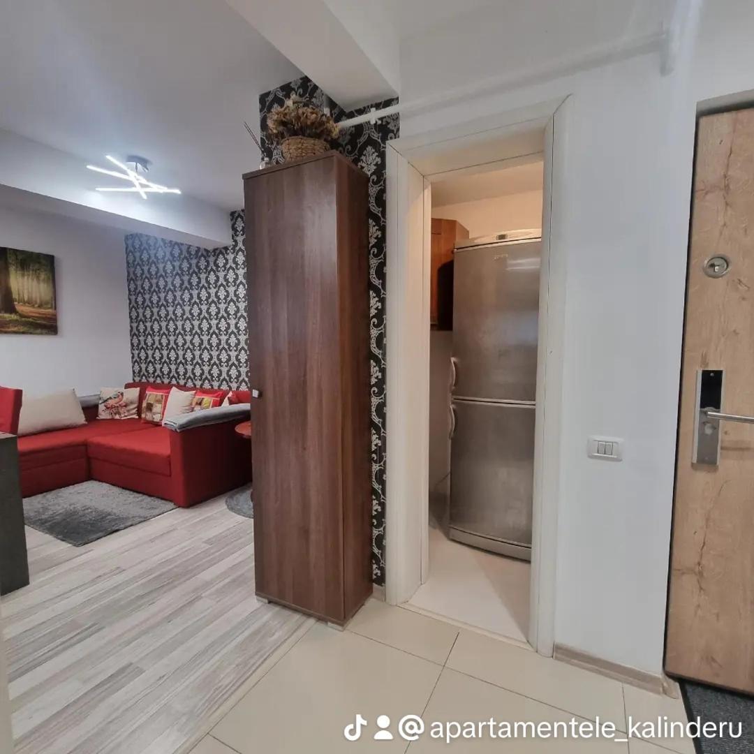 Apartament Kalinderu K2 Buşteni エクステリア 写真