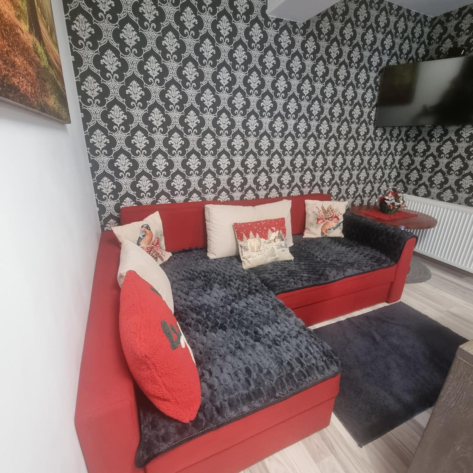 Apartament Kalinderu K2 Buşteni エクステリア 写真