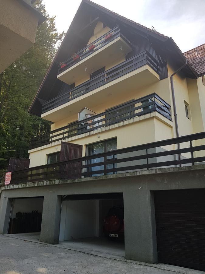 Apartament Kalinderu K2 Buşteni エクステリア 写真