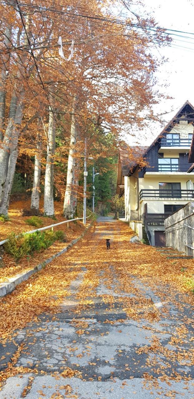 Apartament Kalinderu K2 Buşteni エクステリア 写真