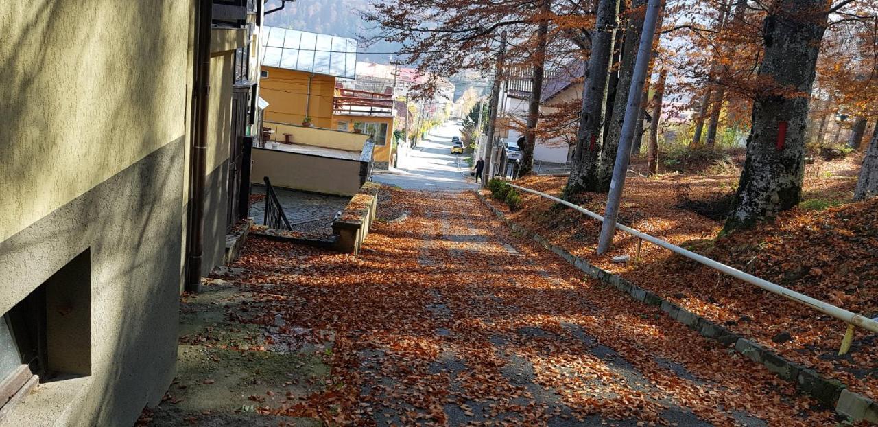 Apartament Kalinderu K2 Buşteni エクステリア 写真