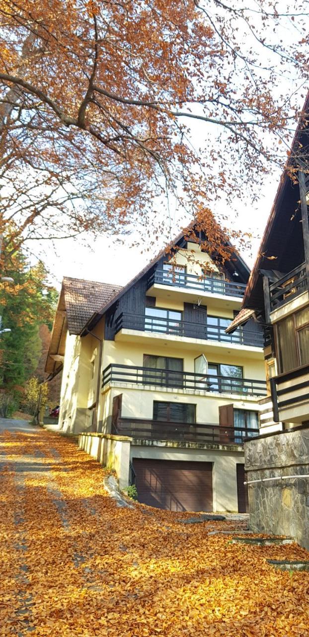 Apartament Kalinderu K2 Buşteni エクステリア 写真