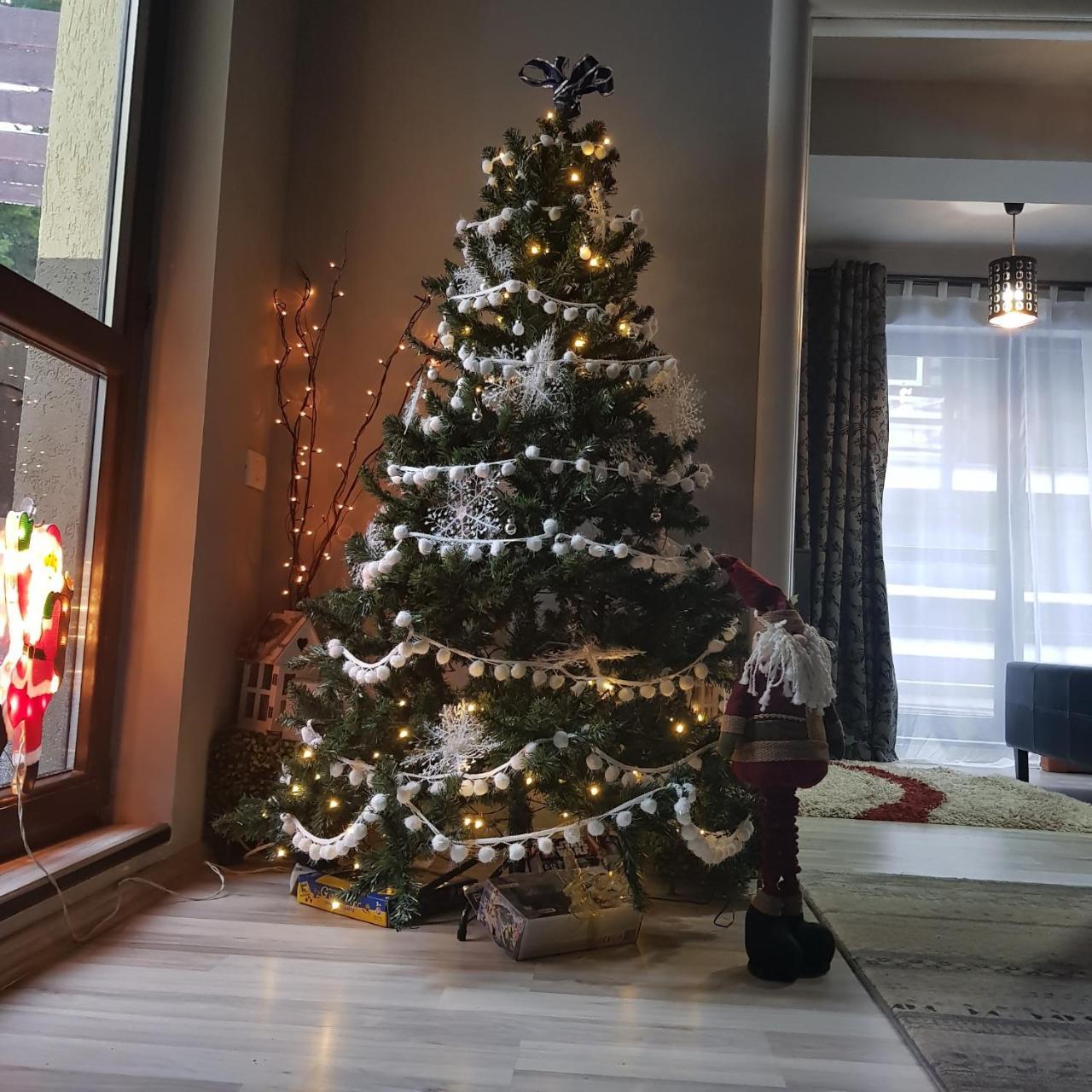 Apartament Kalinderu K2 Buşteni エクステリア 写真