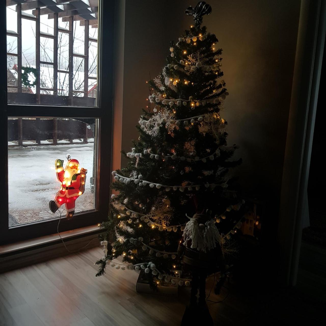 Apartament Kalinderu K2 Buşteni エクステリア 写真