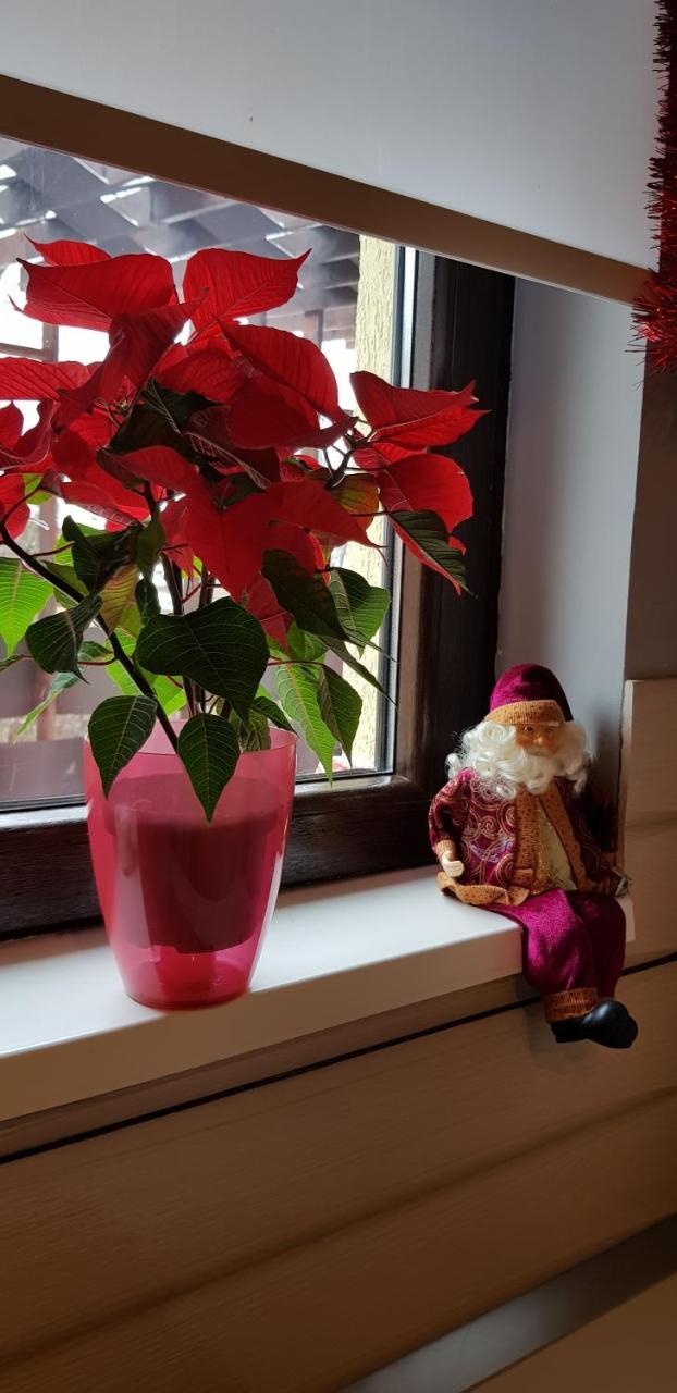 Apartament Kalinderu K2 Buşteni エクステリア 写真